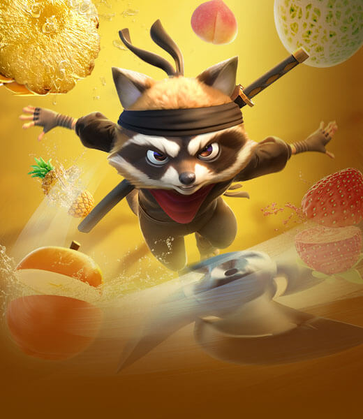 Ninja Raccoon Frenzy